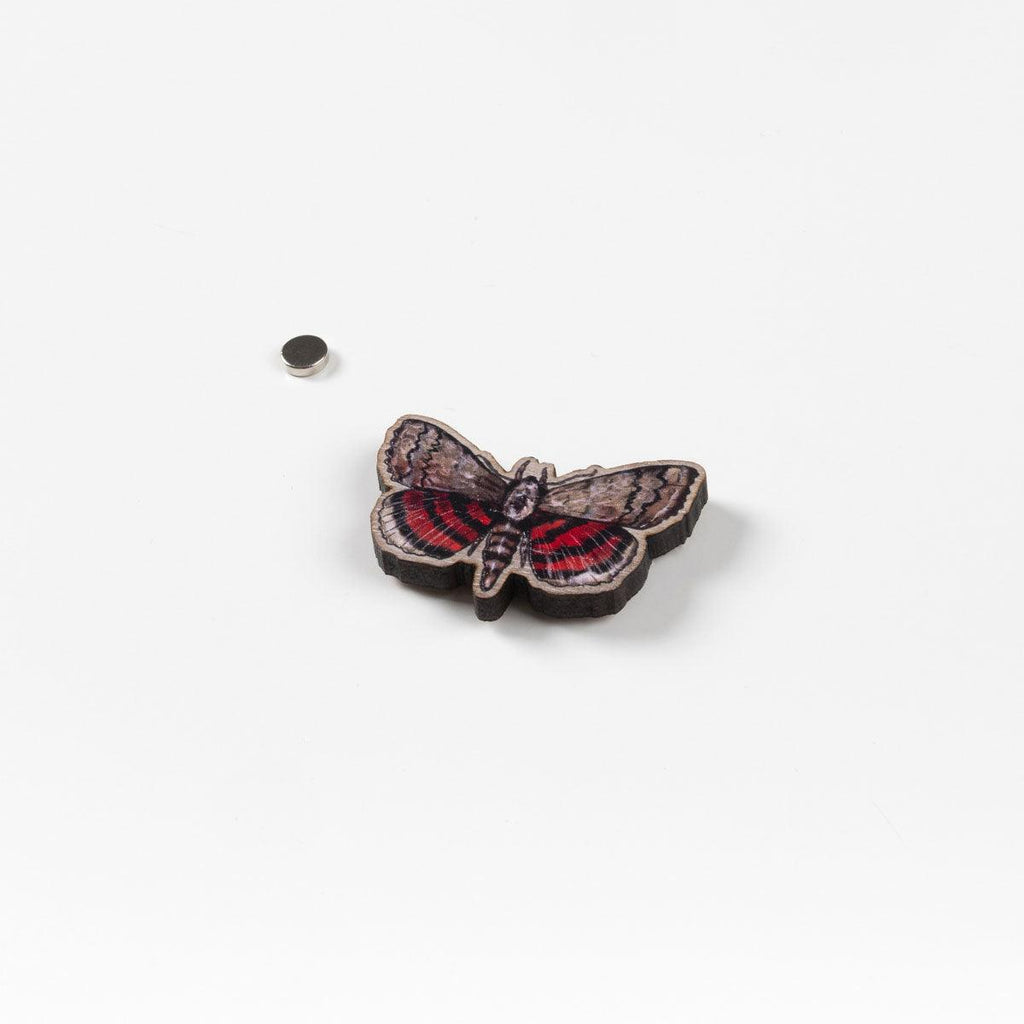 Simply Serving Underwing Moth Needle Minder - Underwing Moth Needle Minder - undefined Fancy Tiger Crafts Co-op