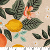 Cotton + Steel Citrus Grove Canvas - Citrus Grove Canvas - undefined Fancy Tiger Crafts Co-op